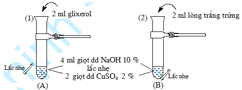 Thực hiện thí nghiệm như hình vẽ bên a Nêu hiện tượng xảy ra khi lắc đều ống  nghiệm b Viết phương trình phản ứng hóa học xảy ra