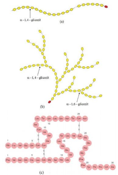 Hãy vẽ mô hình rỗng các phân tử mà công thức phối cảnh của chúng được trình  bày ở hình 49