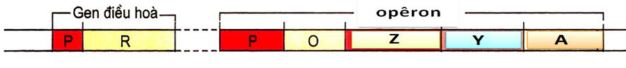 17274359_1120498698096883_1369449326_n